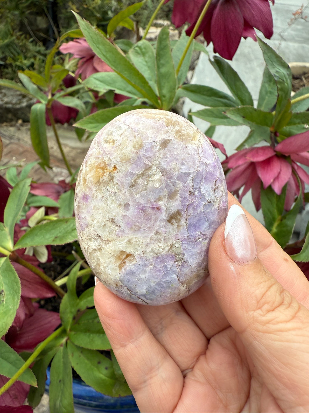 Rare UV Reactive Hackmanite with Mica Palmstone