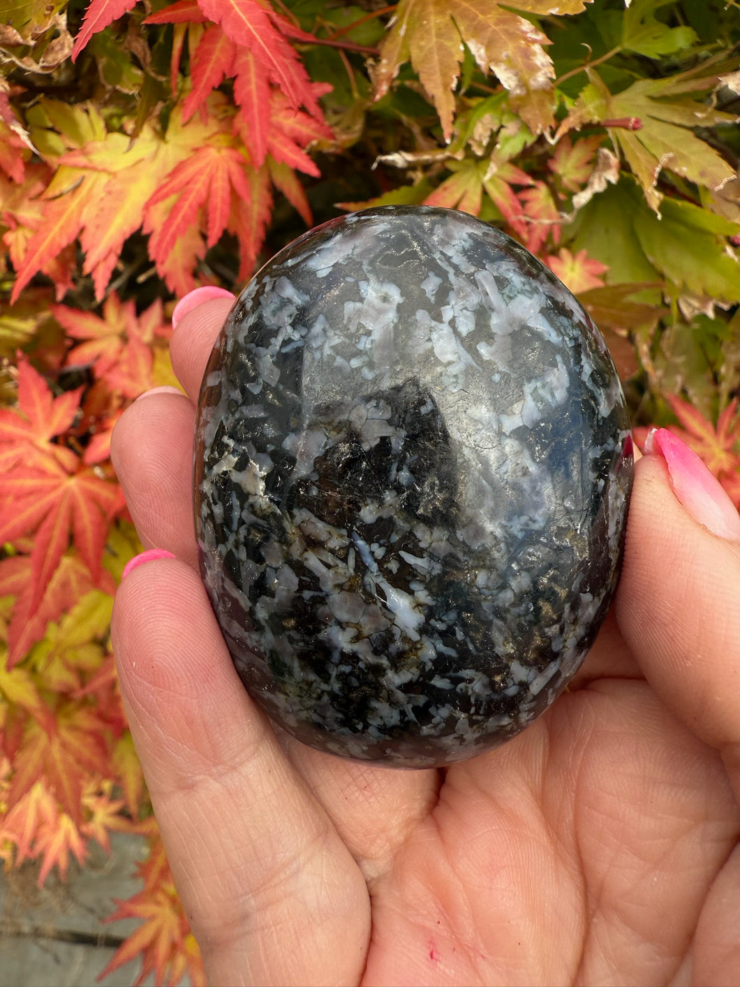 Indigo Gabbro Mystic Merlinite Palmstone