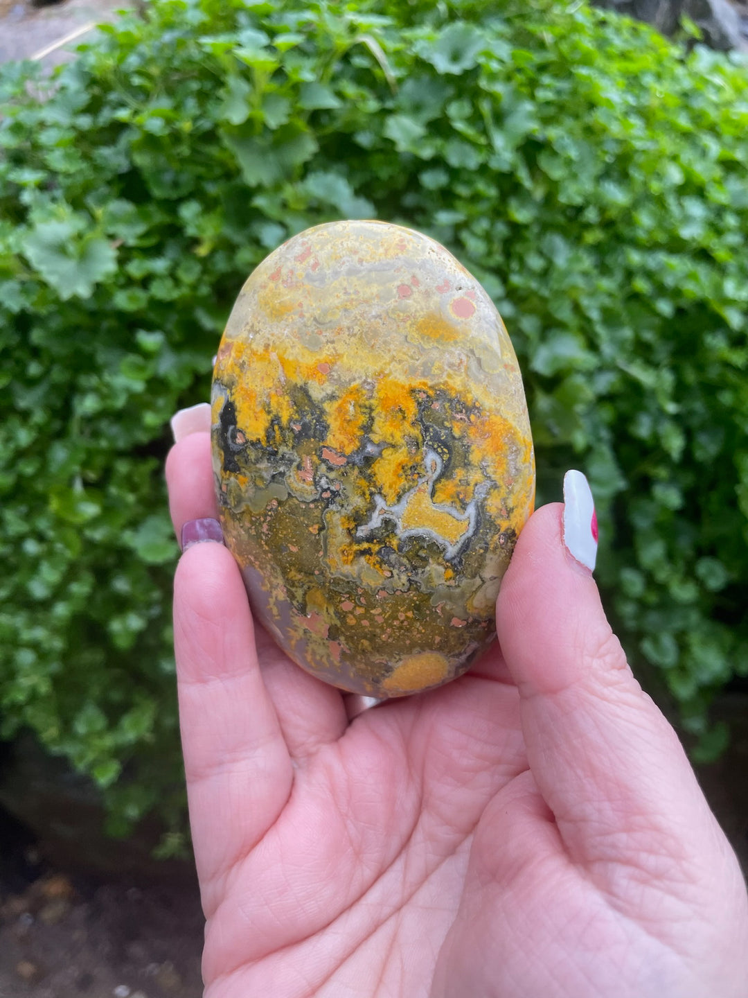 Bumble Bee Jasper Crystal Palmstone