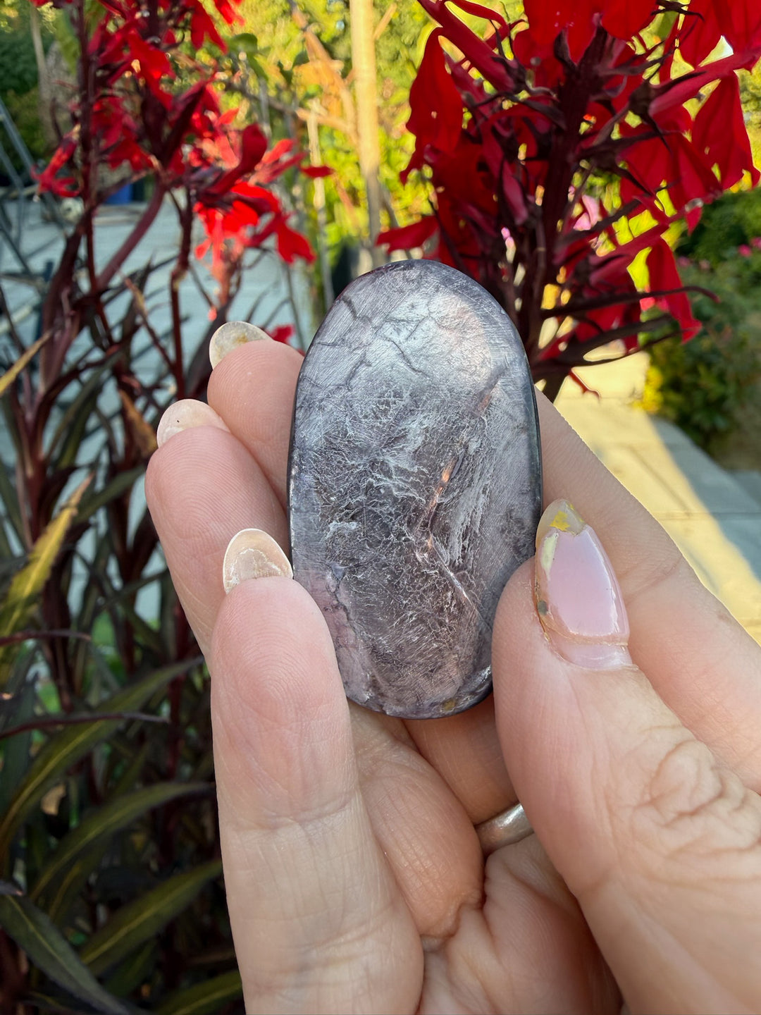 Gem Lepidolite Palmstone
