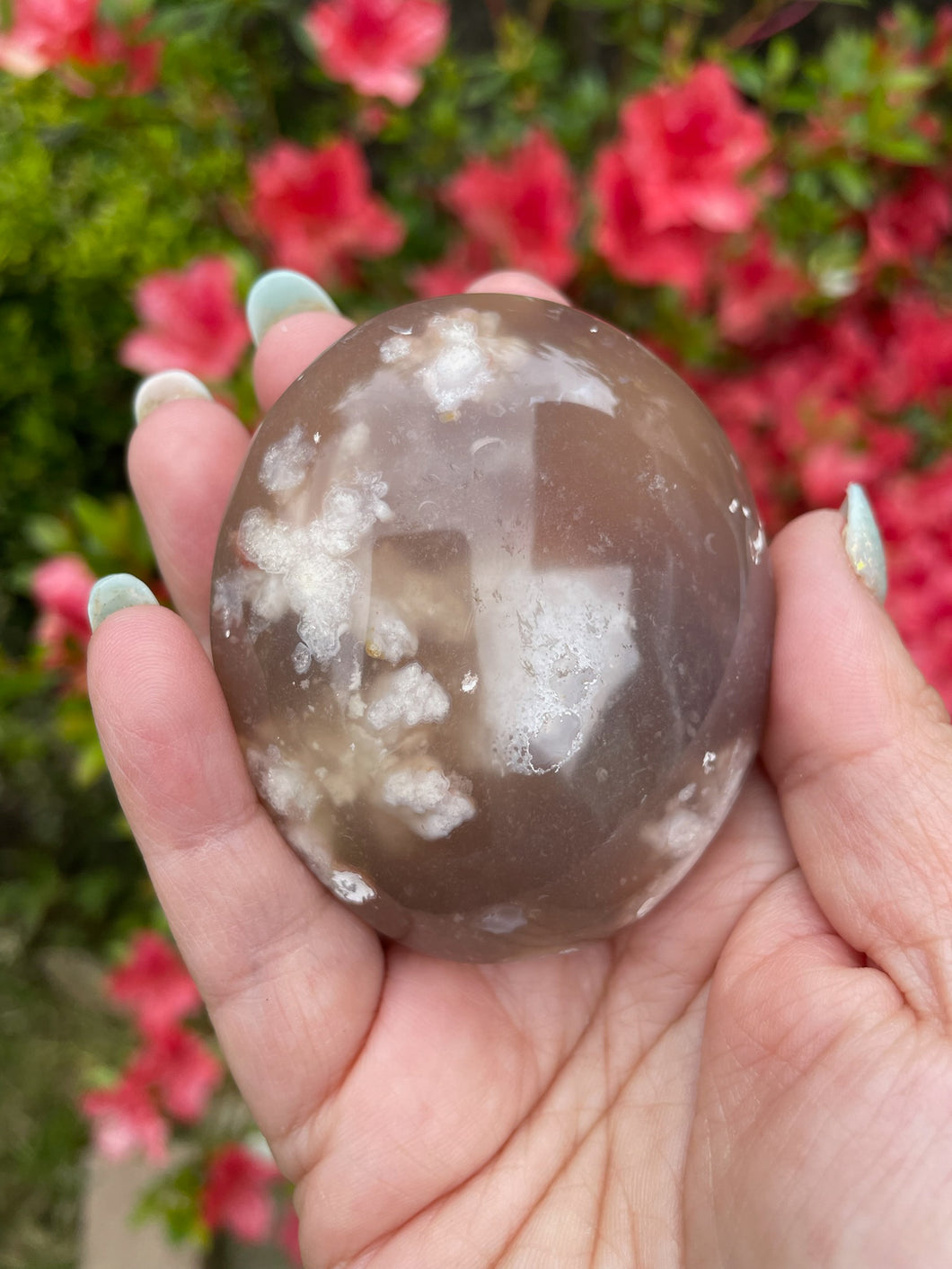 Flower Agate Palmstone