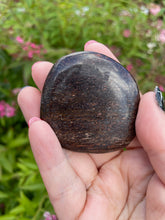 Load image into Gallery viewer, Bronzite Palmstone
