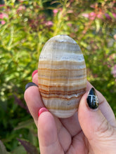 Load image into Gallery viewer, Aragonite Palmstone
