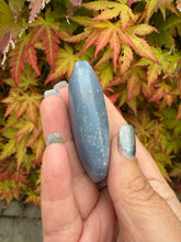 Load image into Gallery viewer, Angelite Palmstone
