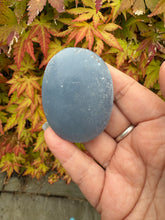 Load image into Gallery viewer, Angelite Palmstone
