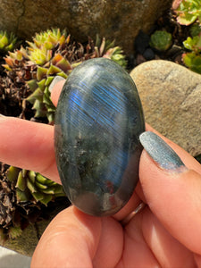 Blue Flash Labradorite Palmstone