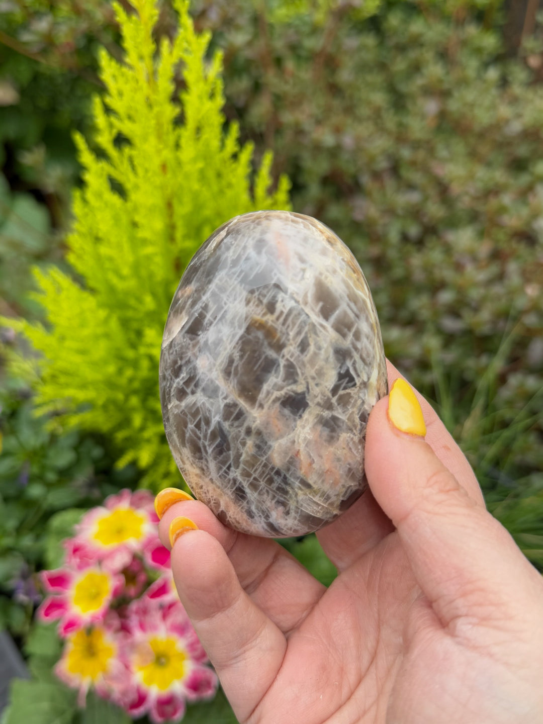 Large Black Moonstone Palmstone