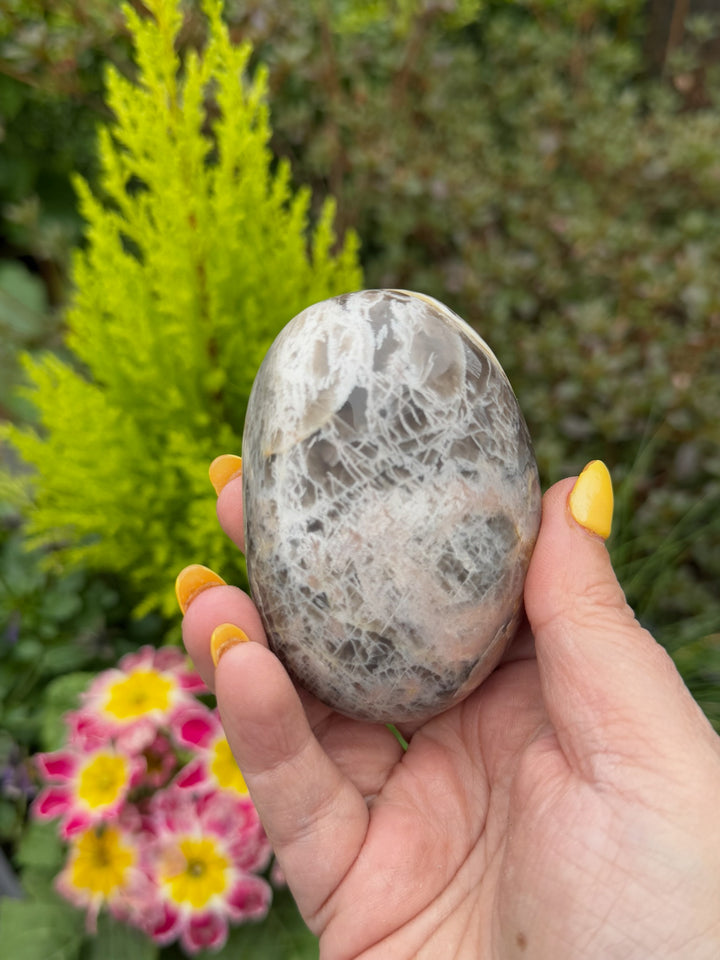 Large Black Moonstone Palmstone