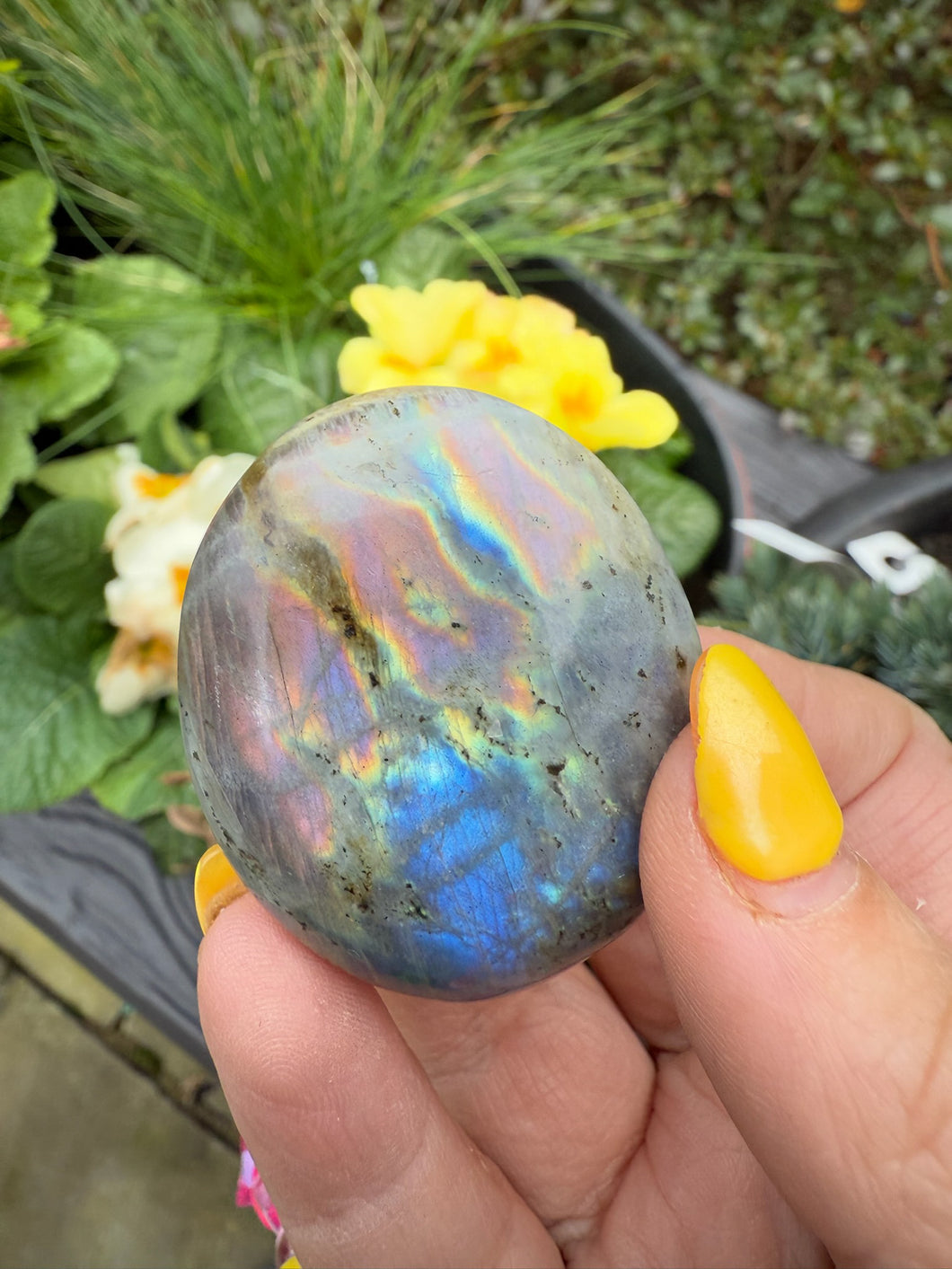 Pink Flash Labradorite Palmstone