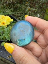 Load image into Gallery viewer, Blue Flash Labradorite Palmstone
