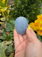 Load image into Gallery viewer, Angelite Palmstone

