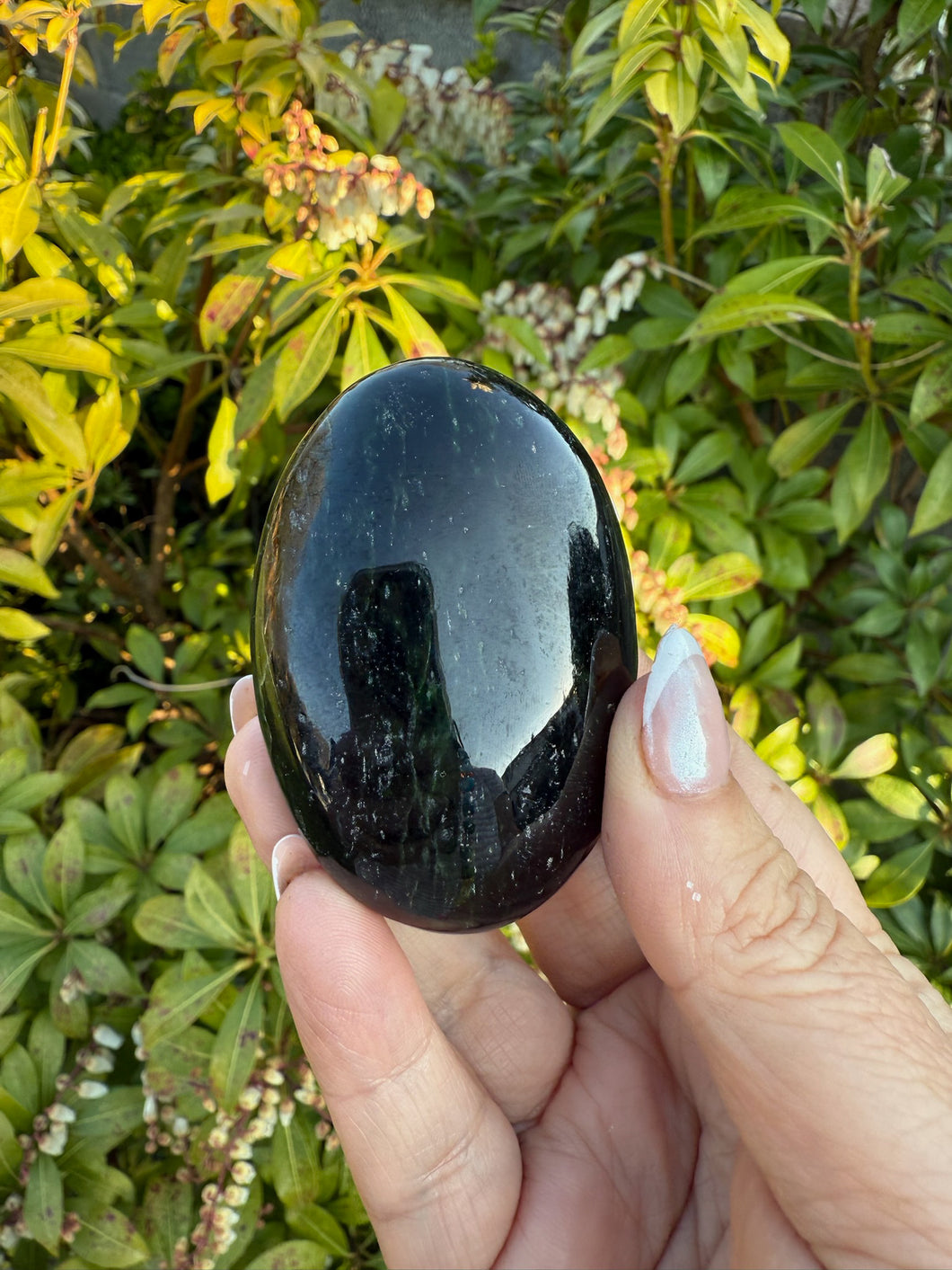 Rare Nephrite Jade Palmstone Tagaab Mine