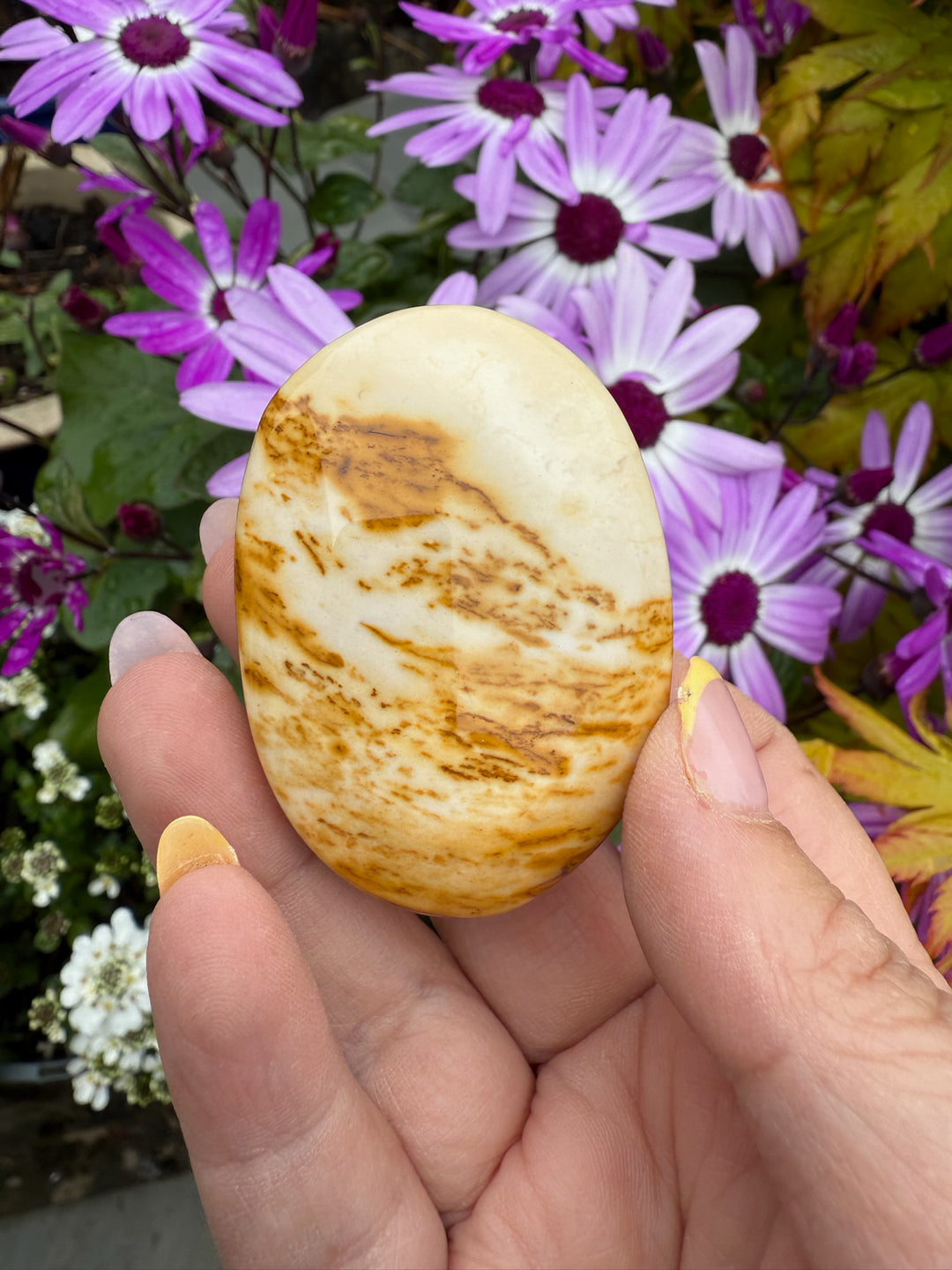 Popcorn Mookaite Palmstone
