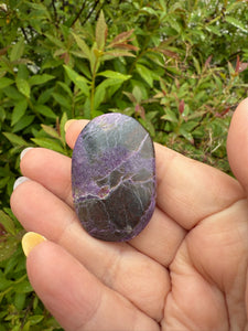 Stichite and Serpentine Palmstone Atlantisite