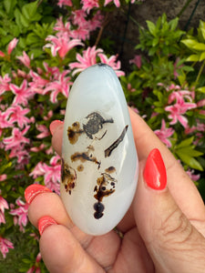 Dendritic Agate Palmstone
