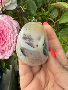 Dendritic Agate Palmstone