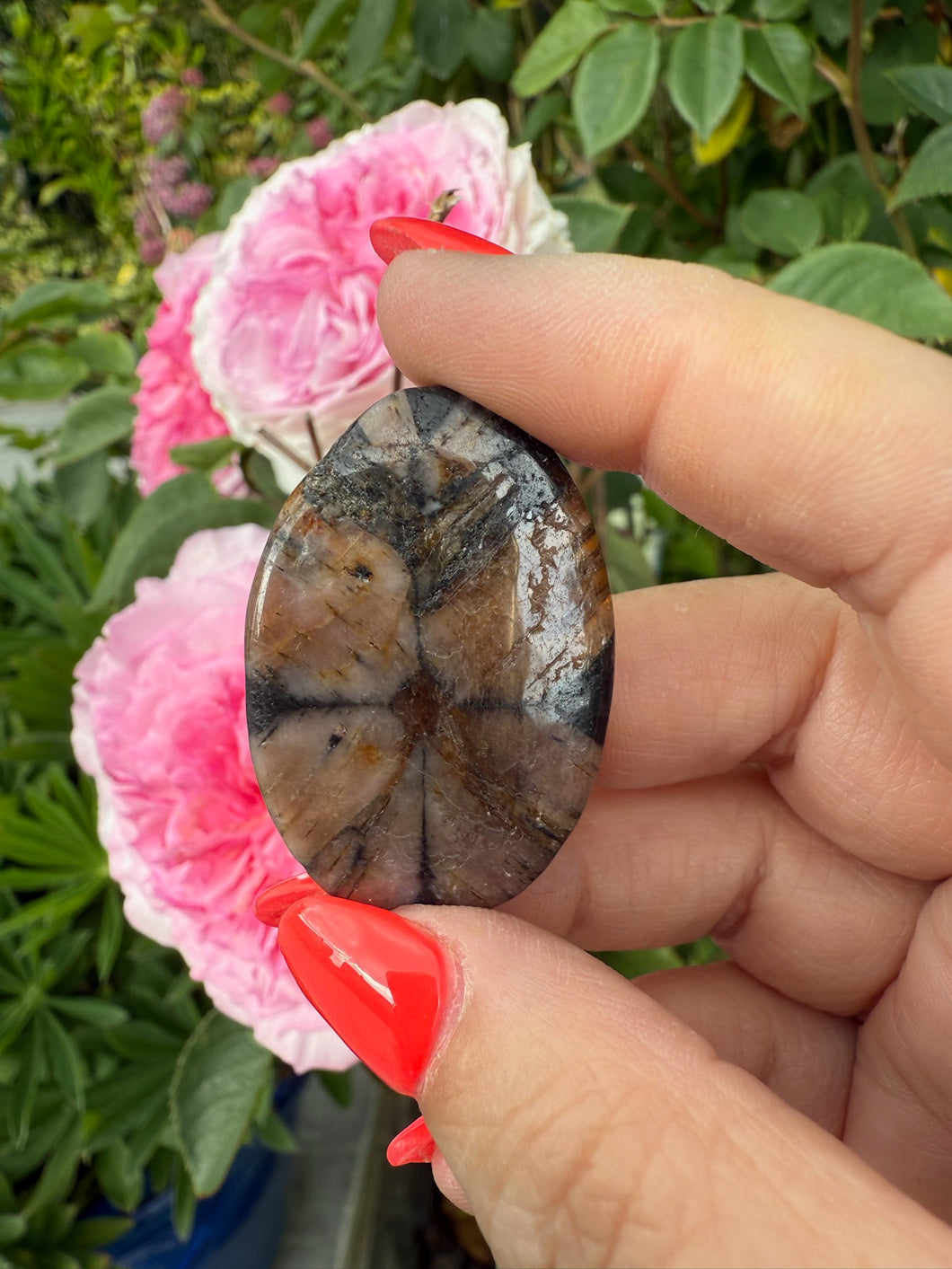 Chiastolite Palmstone