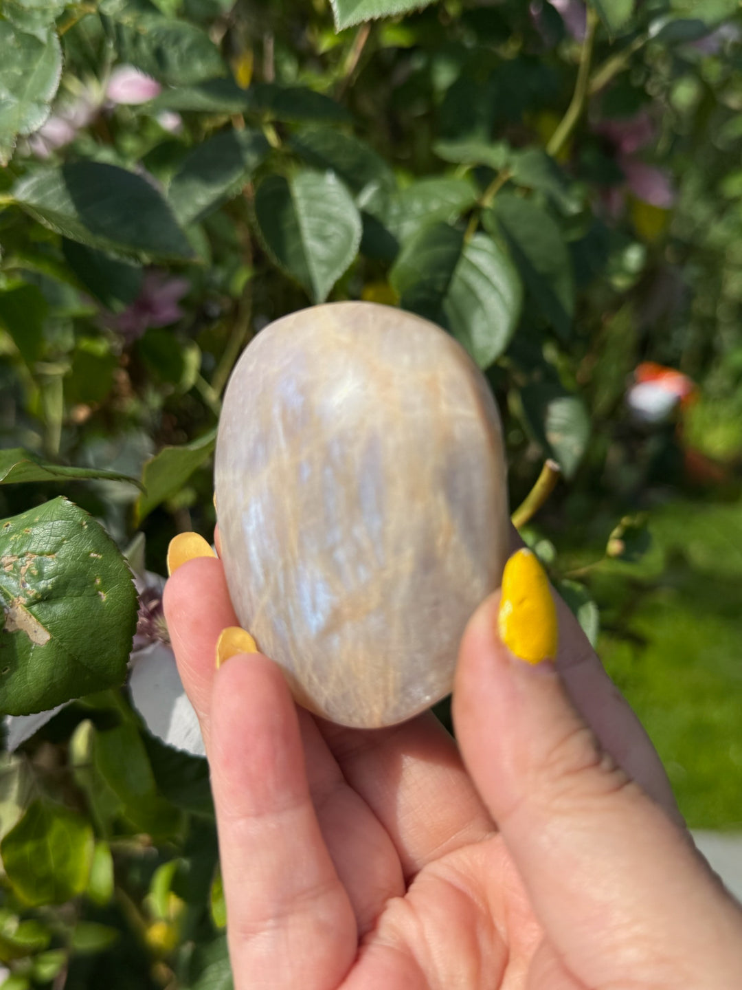 Blue Flash Moonstone Palmstone