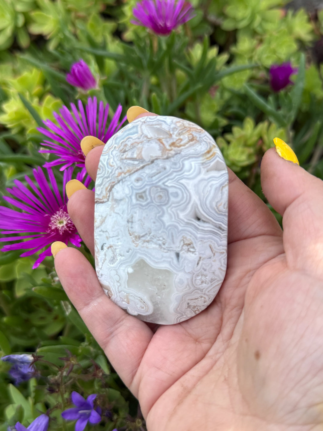 Crazy Lace Agate Palmstone with Druzy