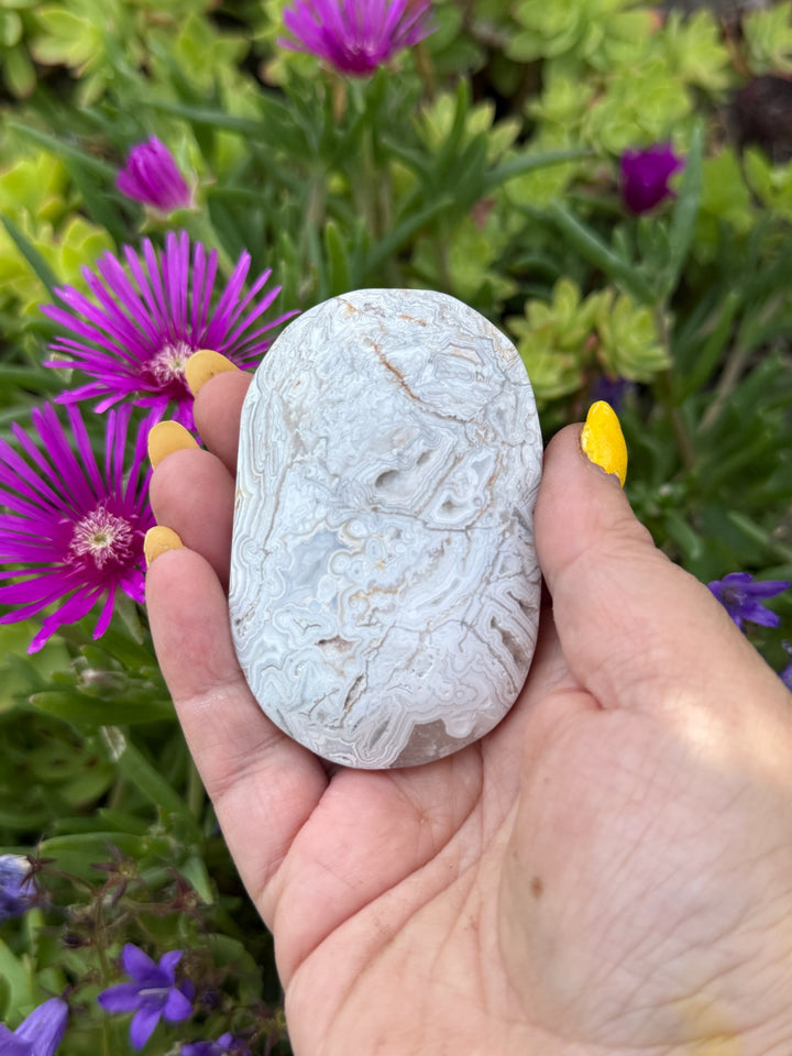 Crazy Lace Agate Palmstone with Druzy
