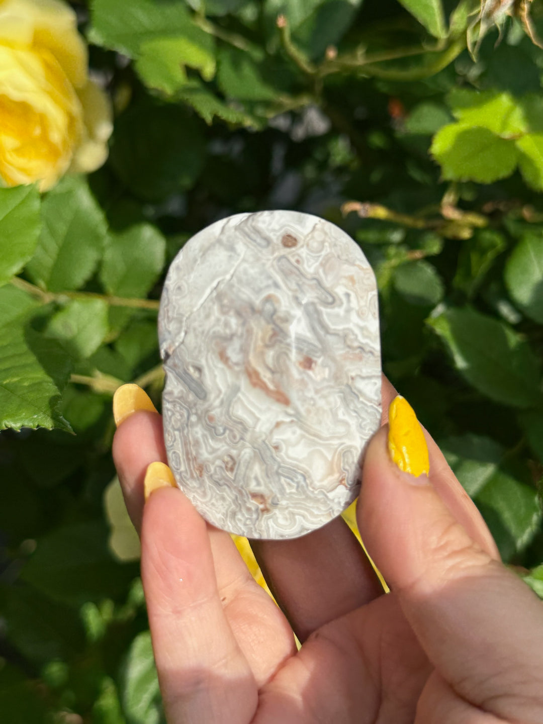 Crazy Lace Agate Palmstone from Mexico