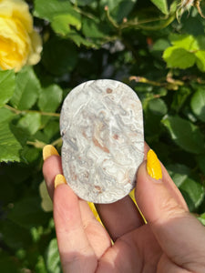 Crazy Lace Agate Palmstone from Mexico