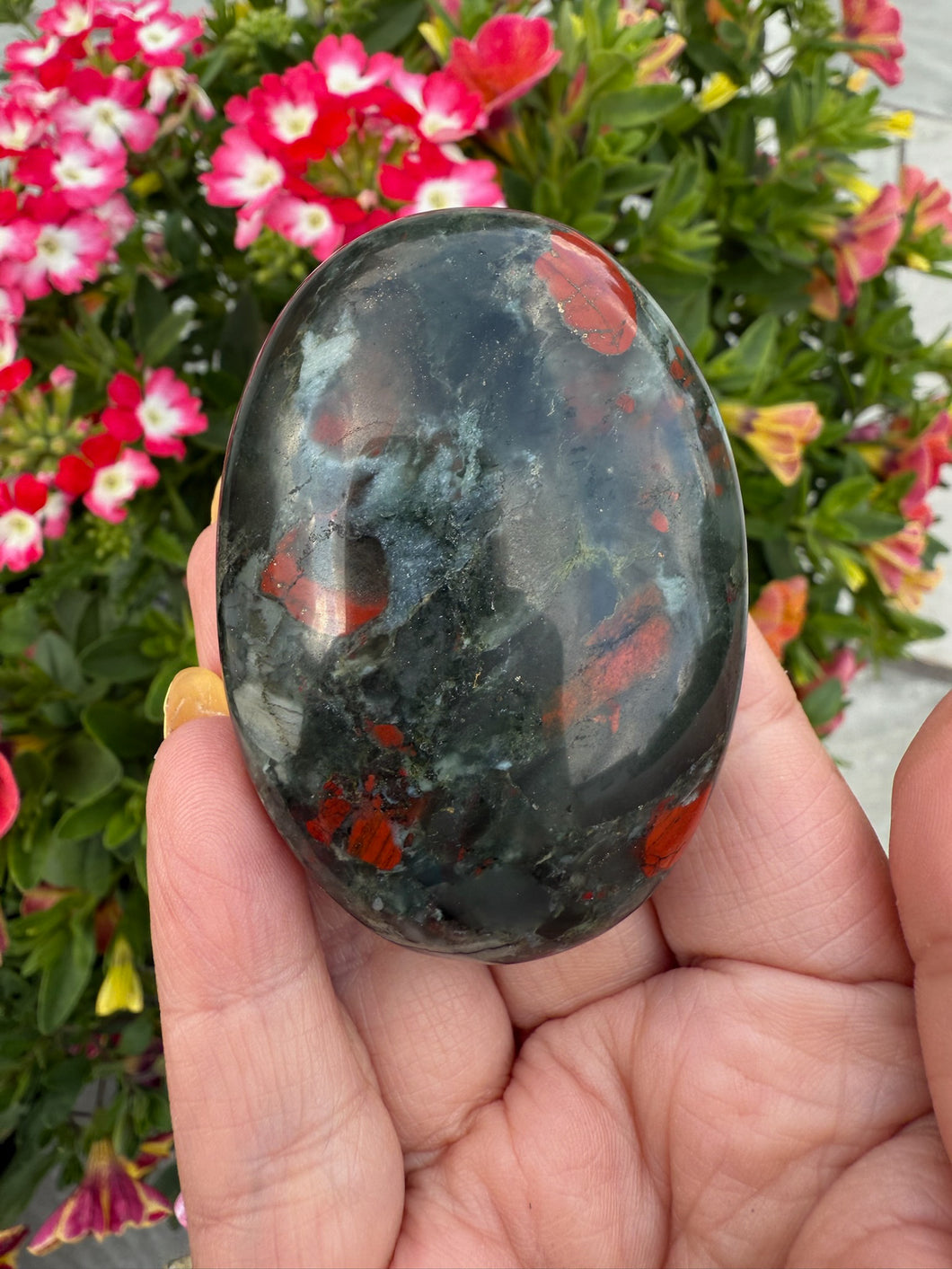Africa Bloodstone Palmstone Seftonite