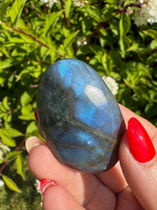 Blue Flash Labradorite Palmstone