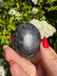 Indigo Gabbro Mystic Merlinite Palmstone