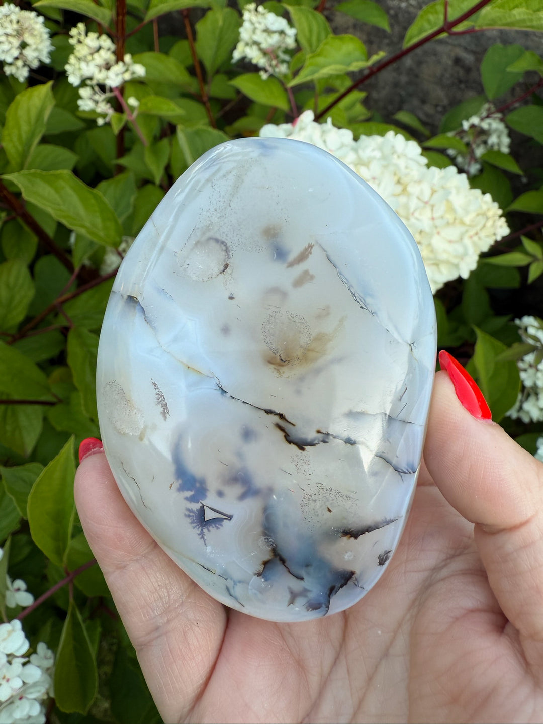 Large Dendritic Agate Palmstone Galet
