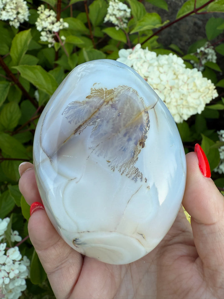 Large Dendritic Agate Palmstone Galet