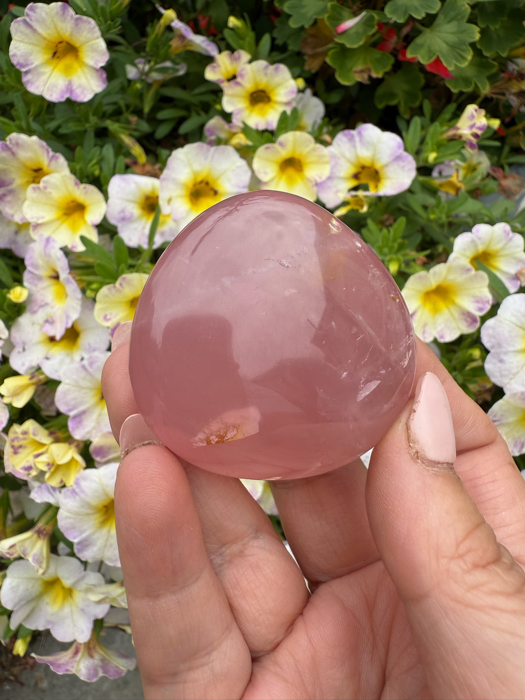 Jelly Rose Quartz Palmstone with Limonite and Rainbows