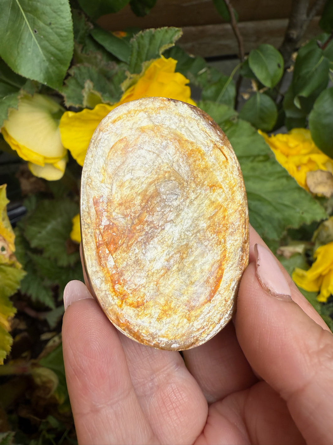 Golden Mica Palmstone