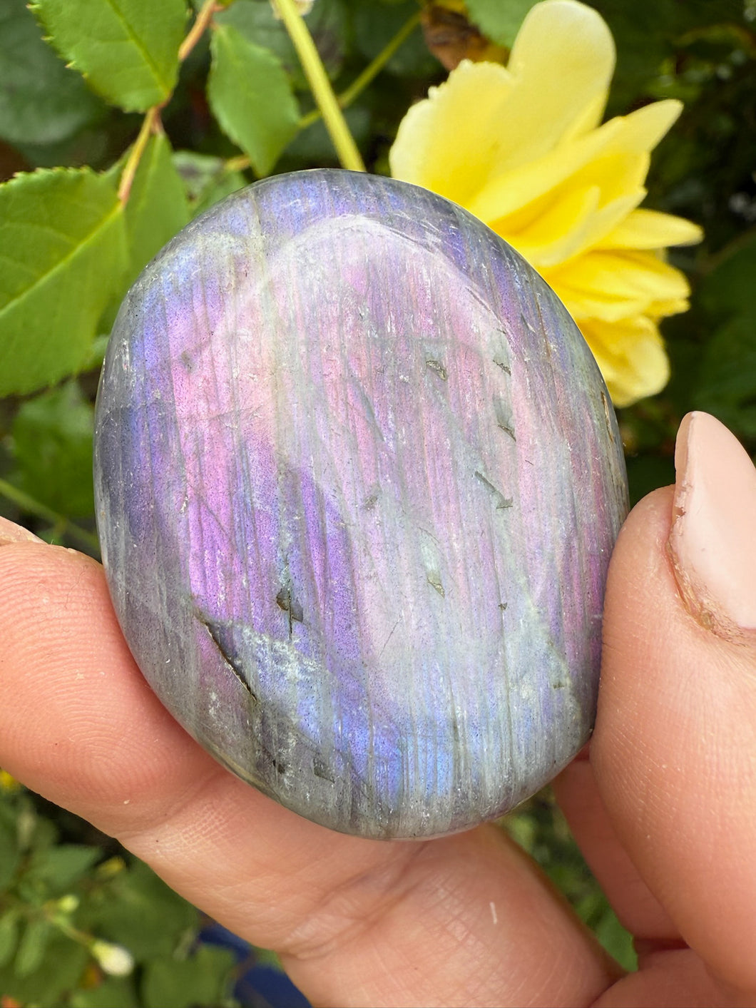 Purple Flash Labradorite Palmstone