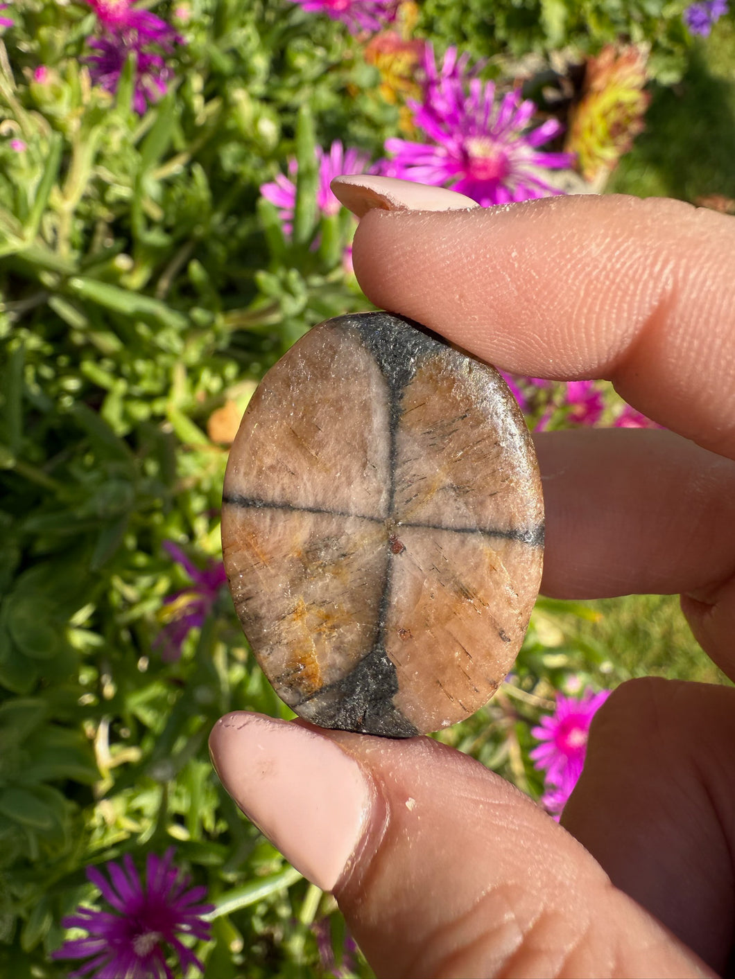 Chiastolite Palmstone