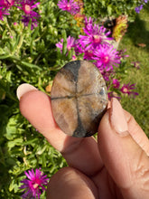 Load image into Gallery viewer, Chiastolite Palmstone
