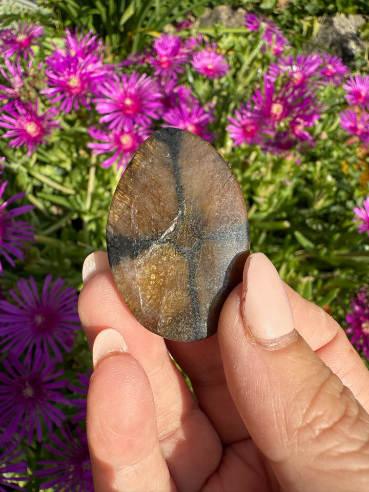 Chiastolite Palmstone
