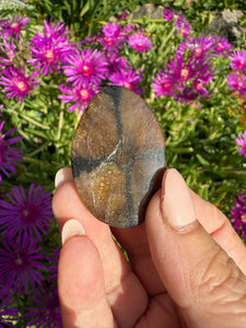 Chiastolite Palmstone