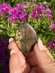 Chiastolite Palmstone