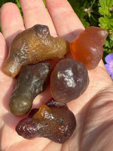 Load image into Gallery viewer, Set of 5 Gobi Agate Nodule Specimens
