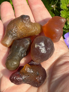 Set of 5 Gobi Agate Nodule Specimens