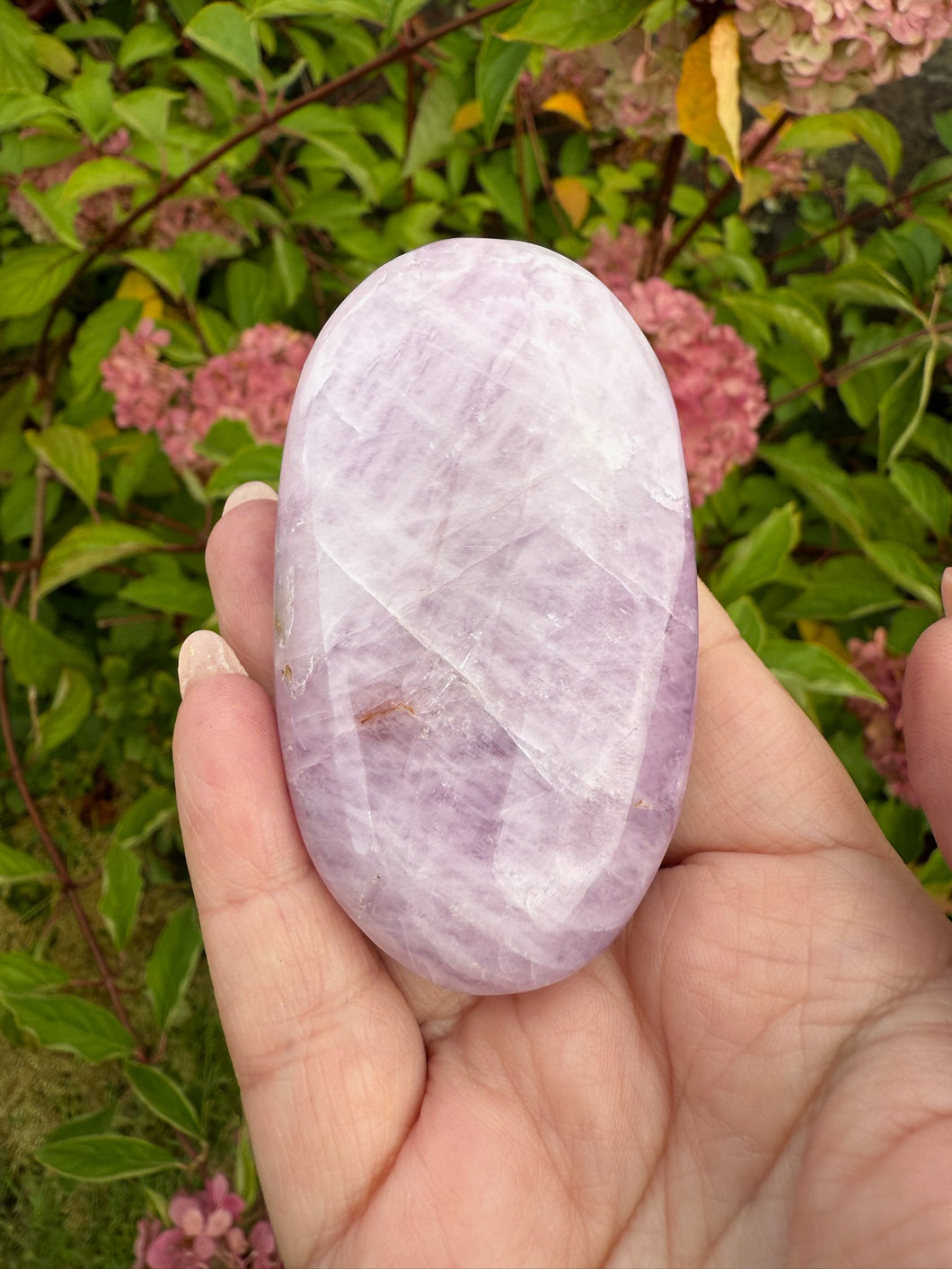 UV Reactive Kunzite Palmstone with Hiddenite