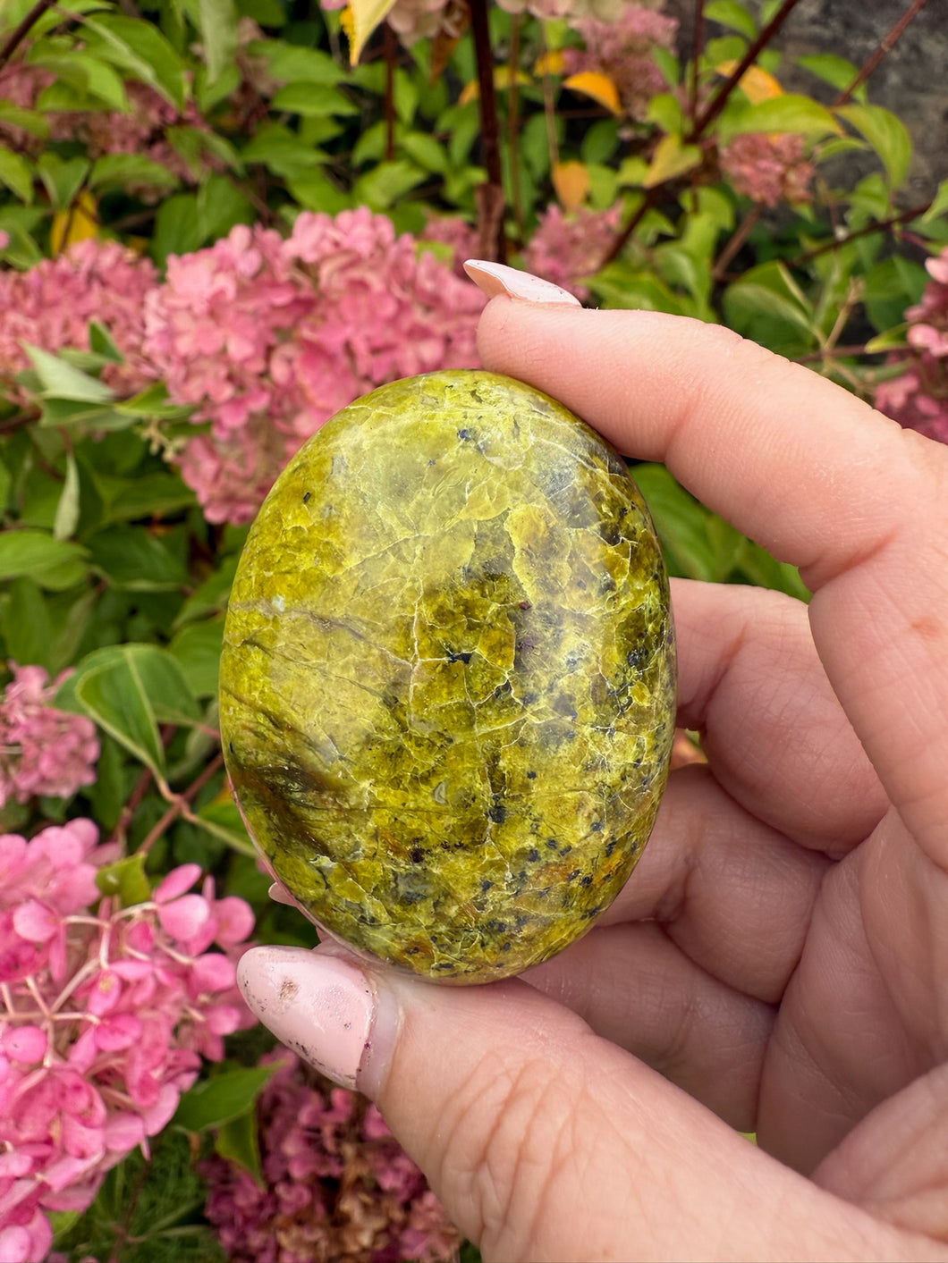 Green Opal Palmstone