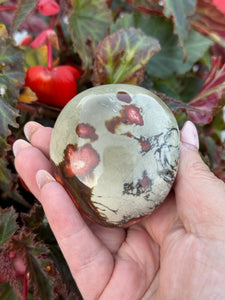 Polychrome Jasper Palmstone