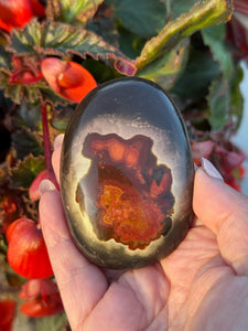 Polychrome Jasper Palmstone