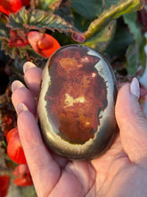 Load image into Gallery viewer, Polychrome Jasper Palmstone
