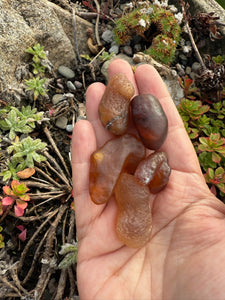 5 Gobi Desert Nodules Tumblestone Set of 5