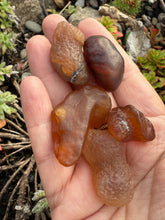 Load image into Gallery viewer, 5 Gobi Desert Nodules Tumblestone Set of 5
