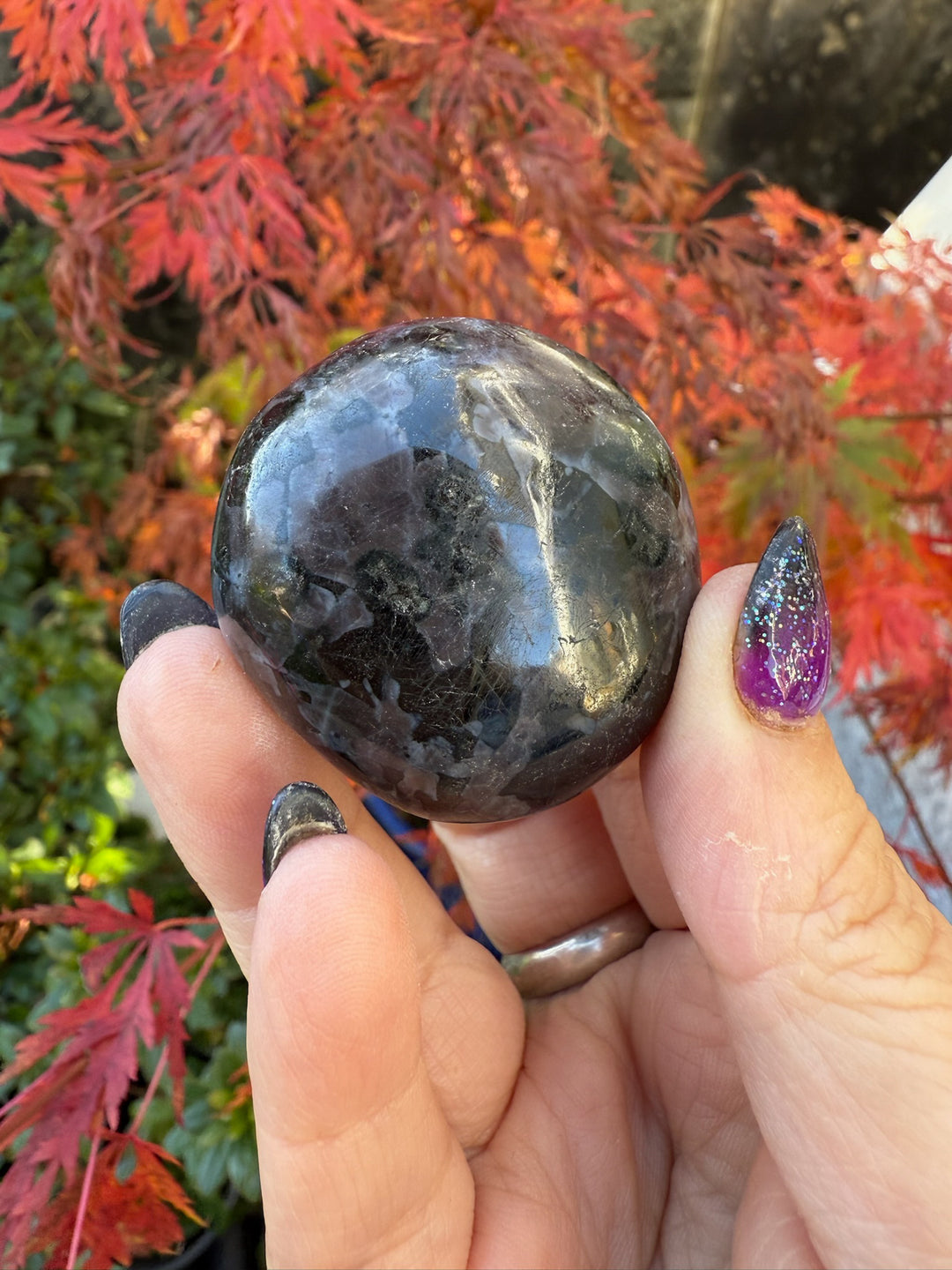 Indigo Gabbro Mystic Merlinite Palmstone