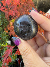 Load image into Gallery viewer, Indigo Gabbro Mystic Merlinite Palmstone
